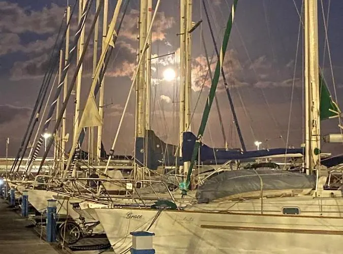 Tekne Brego, Velero